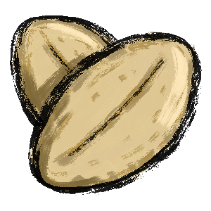 Barley seeds.