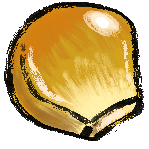 Corn seeds.