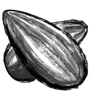 Sunflower seeds.